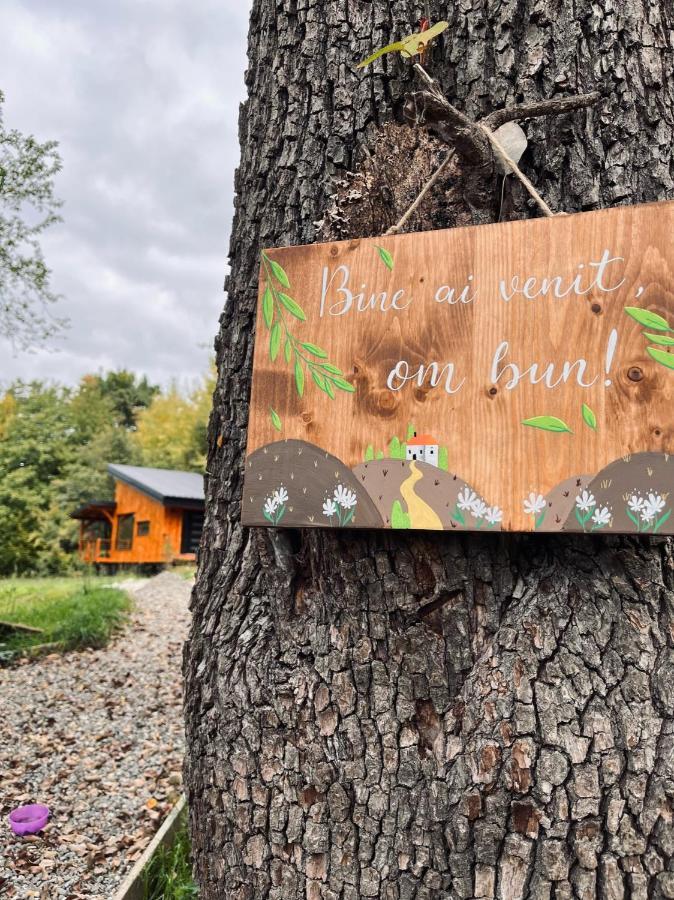 Moodysun Studio, Remote Tiny Home 코마르닉 외부 사진